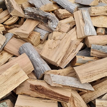 bluegum-wood Bluegum firewood delivery Cape Town - bloekom kaggel hout